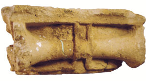 NAHAVAND_Ionic_capital_2