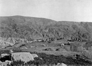 SAMI_Site_1